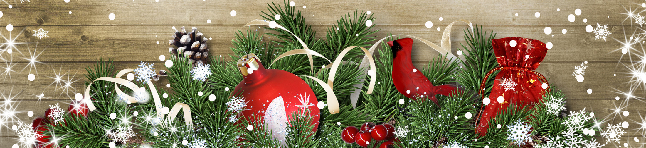 Book Your Holiday Party in Our Banquet Room!